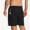 Шорты TNF Class V Ripstop Boardshort (Мужской; 36; Black)